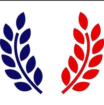 LeZpourToujours's profile picture. #Reconquête #NonVacc #liberté #ViveLaFrance #EtSurtoutLaFrance #MacronJeTemmerde #ViveRaoult #FiereDetreFrancaise#JeSoutiensIsrael