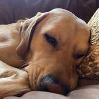 FPL fiona (@fpl_femat) 's Twitter Profile