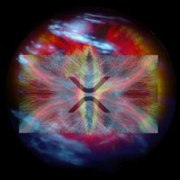XRPalantir (@gym112111) 's Twitter Profile