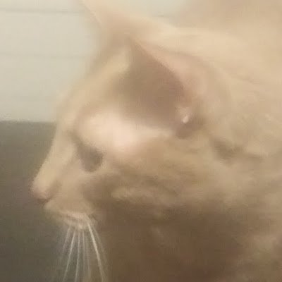 TheresNoChance_'s profile picture. nothing