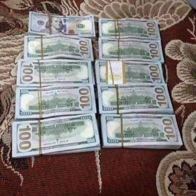 lnsaff1's profile picture. 