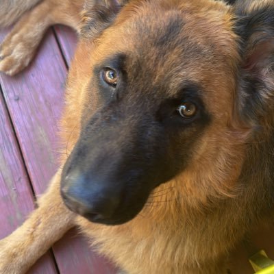 coskunaltug's profile picture. 