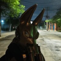 Wandering Jackal (@jackalwandering) 's Twitter Profile