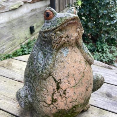 rossana_295's profile picture. Orgullosa mujer guatemalteca