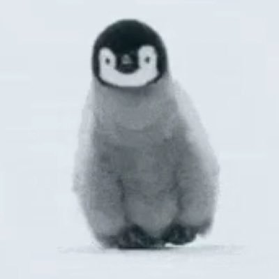 m. she/her || i just really love penguins. and kate and anthony. she does adore him. and he adores her