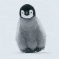 Penguin 🐧(@Penguinempress8) 's Twitter Profile Photo