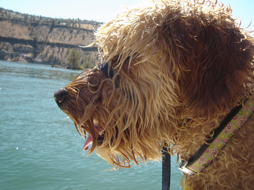 adl45's profile picture. 