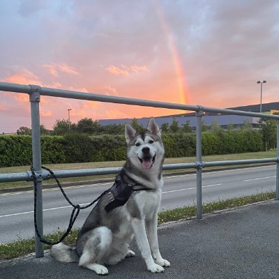 camofnx's profile picture. 17