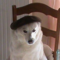 Jm COSTES (@jmpapy127) 's Twitter Profile