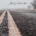 مميز انا..🇶🇦 (@mmyzana) Twitter profile photo مميز انا..🇶🇦 (@mmyzana) Twitter profile photo