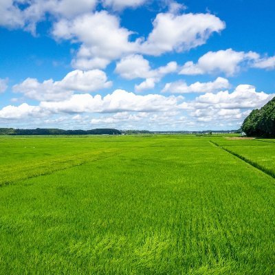 真宗大谷派東北教区（京都・東本願寺が本山です）のTwitterです。
今年の7月に、いままでの奥羽・山形・仙台の三教区が、合併して誕生したばかりで、これからは東北6県にまたがる、とても広い範囲が一つの教区になります。

そんな教区内の行事・関連情報等を中心に、お知らせしていきます。よろしくお願いします！