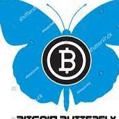 NicolleBinance's profile picture. 