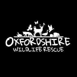 Oxfordshire Wildlife Rescue