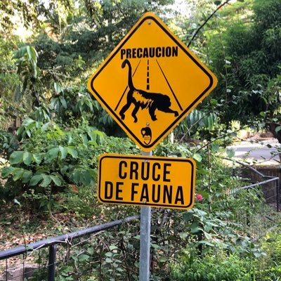 Costa Rican negative. PURA VIDA
Live life to the fullest. Love laughing at pathetic Americans that fight with each on social media with people they don’t know.