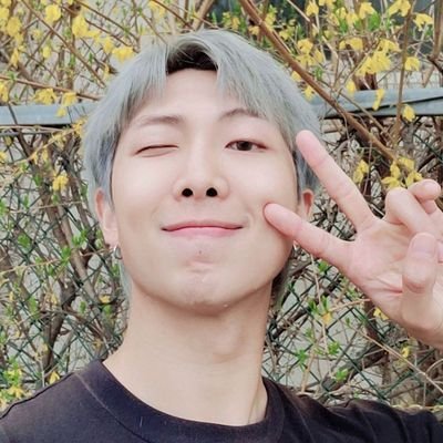 namjoonista de la cuna al cajón