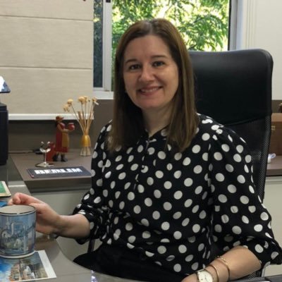 Associate Professor of Chemical Engineering at Federal University of Santa Catarina - Brazil. PI. Associate Editor of Brazilian Journal of Chemical Engineering.