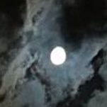 الحمدلله (@alhmdlah1010) Twitter profile photo