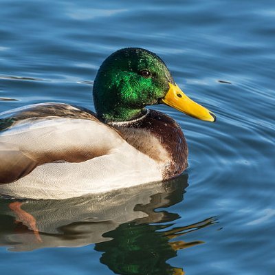 KonradStroinski's profile picture. nudze sie