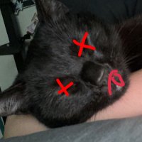 bug (@beebug22) 's Twitter Profile