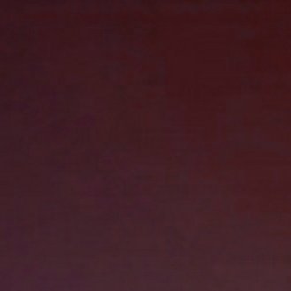 NdggX_'s profile picture. 