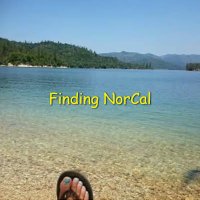 Finding Norcal (@findingnorcal) 's Twitter Profile
