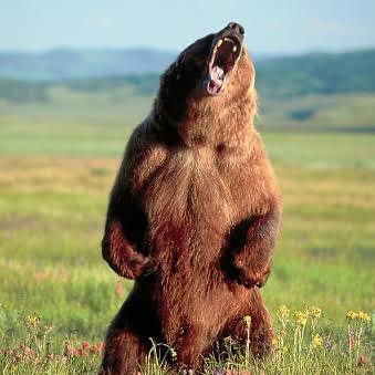 gunnjin_'s profile picture. 