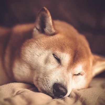 副業としてブログを始めた30代会社員です(2022年5月〜)。色んな人と繋がりながら勉強していこうと思ってます!今はグルメや音楽関連の雑記を書いています。どうぞよろしくお願いいたします!
『侘助の雑記部屋』→https://t.co/a4TuIapabz