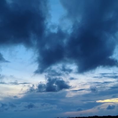 softheartd2003's profile picture. 