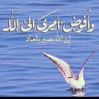 محمدالقاضي (@mohammed13m1234) 's Twitter Profile