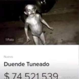 TrufulaKomon's profile picture. Tu mama