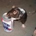 Link To The Pabst (@camilkycereal) Twitter profile photo Link To The Pabst (@camilkycereal) Twitter profile photo