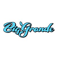 Big Grande (@biggrandetweets) 's Twitter Profile