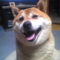 小越なつえ/オゴシ (@ogonatsu) 's Twitter Profile