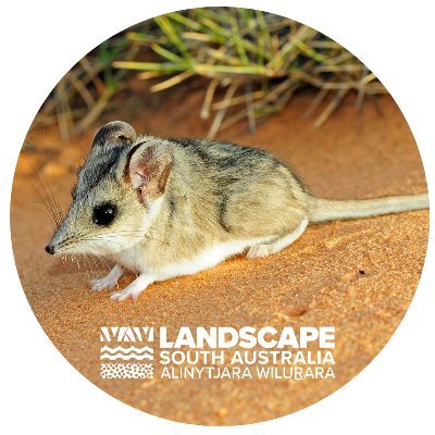 The Alinytjara Wilurara Landscape Board partners with Aboriginal communities and Traditional Owners to manage the natural resources in western South Australia.