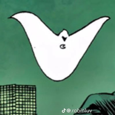 kallabummer's profile picture. I can’t live laugh love in these conditions