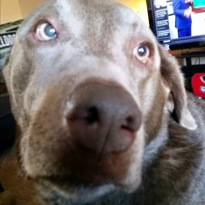 GreenCharon's profile picture. RETIRED!! US Army🪖🎖, husband, 2x girl dad, 🐕‍🦺🐕‍🦺 owner, 🔫 owner and UGA 🐶 fan