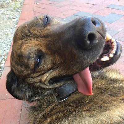 hunting_snipes's profile picture. esoteric degenerate