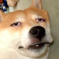 中年革新家たけぽん (@takepon_ch) 's Twitter Profile