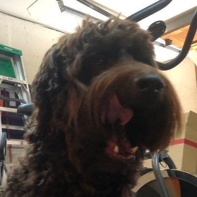 Virtual_Mason's profile picture. Issy native. Enjoyer of food, weather, tech, and sports. #freebeans