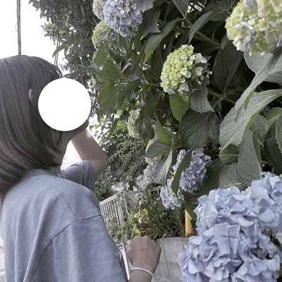 satellite_cats's profile picture. 食べて寝て働いて暮らす🧺