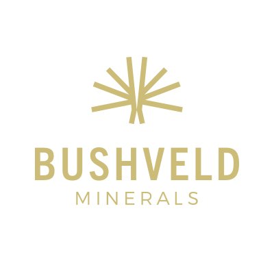 BushveldMin_Ltd Profile Picture