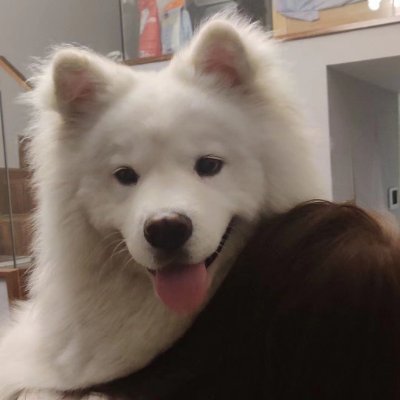 JasonMo2's profile picture. TiDB Committer | 前阿里云攻城狮 | 前高性能网络工作者