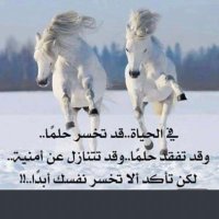❤️المتزن ❤️ (@as69290872) 's Twitter Profile Photo ❤️المتزن ❤️ (@as69290872) 's Twitter Profile Photo