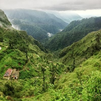 TthruLif's profile picture. .