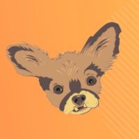 Chewie The Chi(@ChewieTheChi) 's Twitter Profile Photo