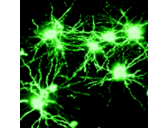 Rick Bishop - @BishopsMind - Twitter