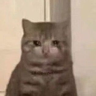 mocha_mars_'s profile picture. A traveler.