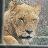 dongri0331's profile image