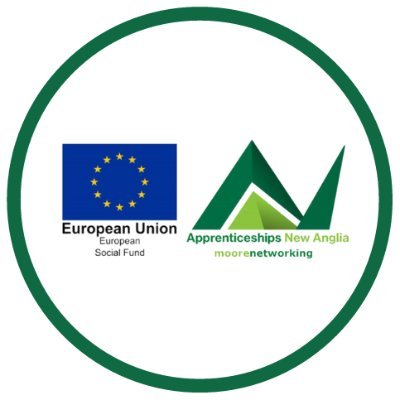 #Apprenticeships New Anglia is an innovative project, part funded by the European Social Fund.