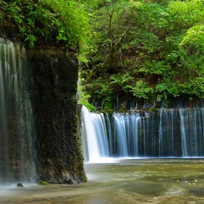 国産オオクワ久留米と奈良輪のみブリードしています。気軽に絡んでやってください。 あとアウトドアと写真